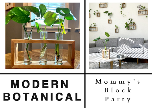 Bring Life To Your Favorite Space With Modern Botanicals