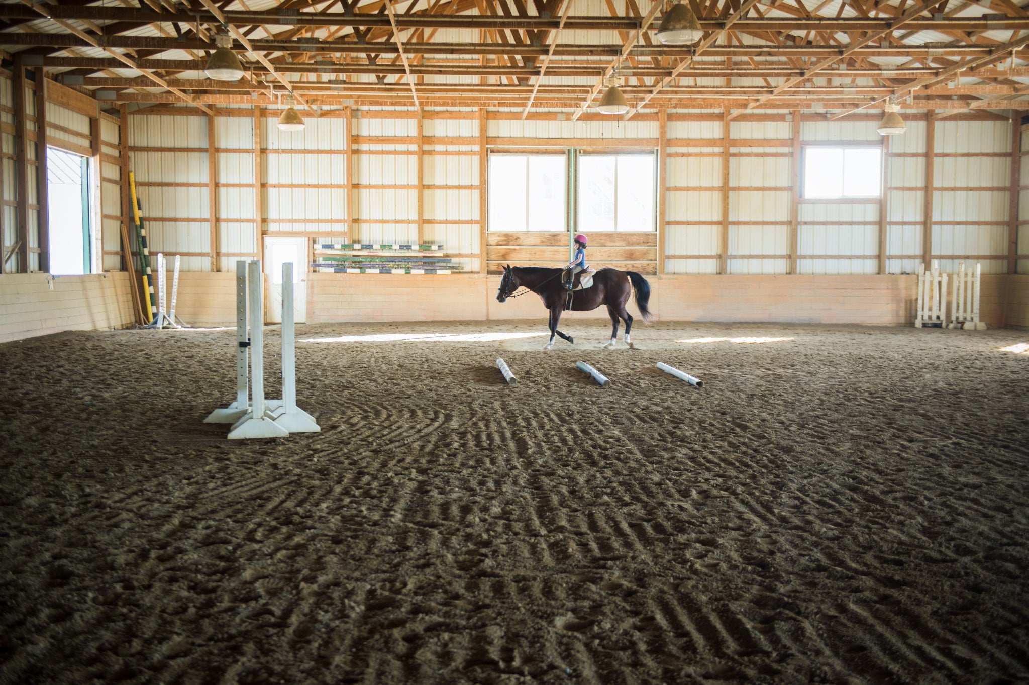 Giddy Up! The Best Places to Horse Around in the DMV
