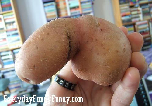 30 Things That Look Like A Penis (But Aren’t!)