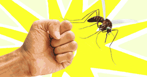 Mosquito Repellants Keep the Bugs At Bay. It’s Time To Kill Them Dead.