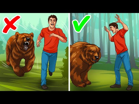 Bear Defense – How to Prepare for and Survive a Bear Attack