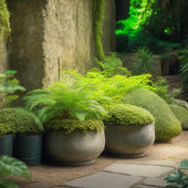 A serene shade garden scene with lush greenery spilling out of planters crafted from weathered concrete blocks, surrounded by moss-covered stones and dappled sunlight filtering through leafy trees.